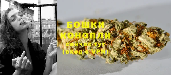 винт Осташков