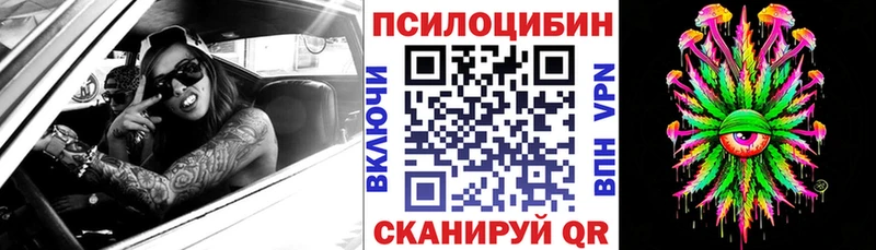 Галлюциногенные грибы Psilocybine cubensis  закладки  MEGA ONION  Трёхгорный 